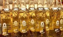 黑狮啤酒工厂爆料视频完整版,完整版爆料视频深度解析